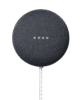NestMini-1